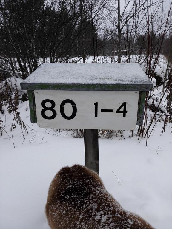 Strandbo Forby Kültér fotó