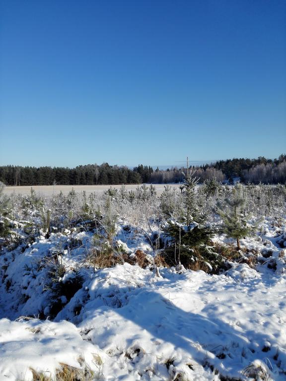 Strandbo Forby Kültér fotó